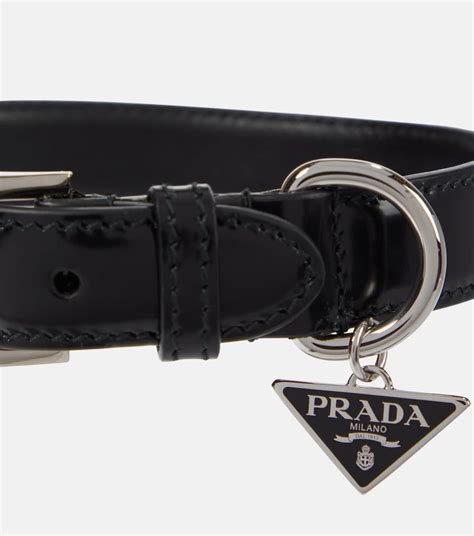 collare prada cane|prada leather dog bag.